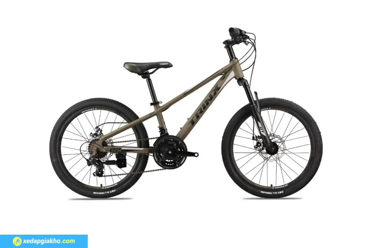Xe Đạp Trẻ Em Bé Trai Trinx GT20 20 Inch