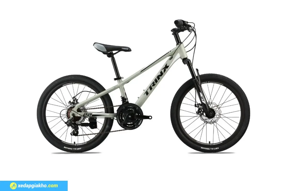 Xe Đạp Trẻ Em Bé Trai Trinx GT20 20 Inch