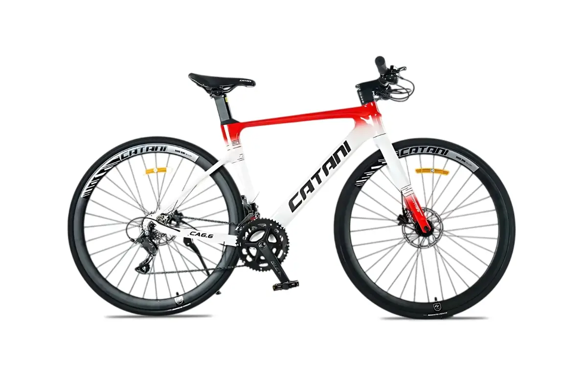 Xe Đạp Touring Catani 6.6