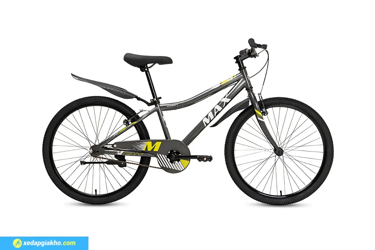 Xe Đạp Thể Thao Max Bike Chubby 3 màu ghi