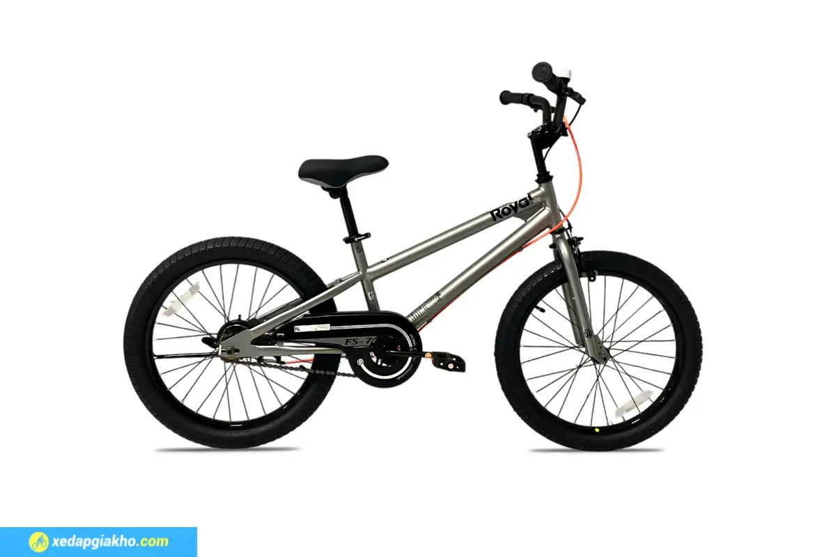 Xe Đạp Trẻ Em Bé Trai Royal Baby Freestyle FS7 20 Inch- màu xám