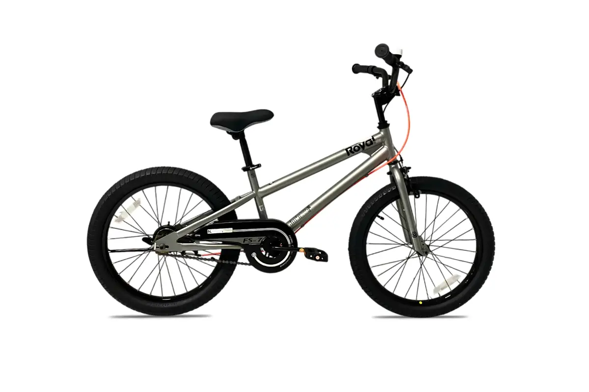 Xe Đạp Trẻ Em Bé Trai Royal Baby Freestyle FS7 20 Inch