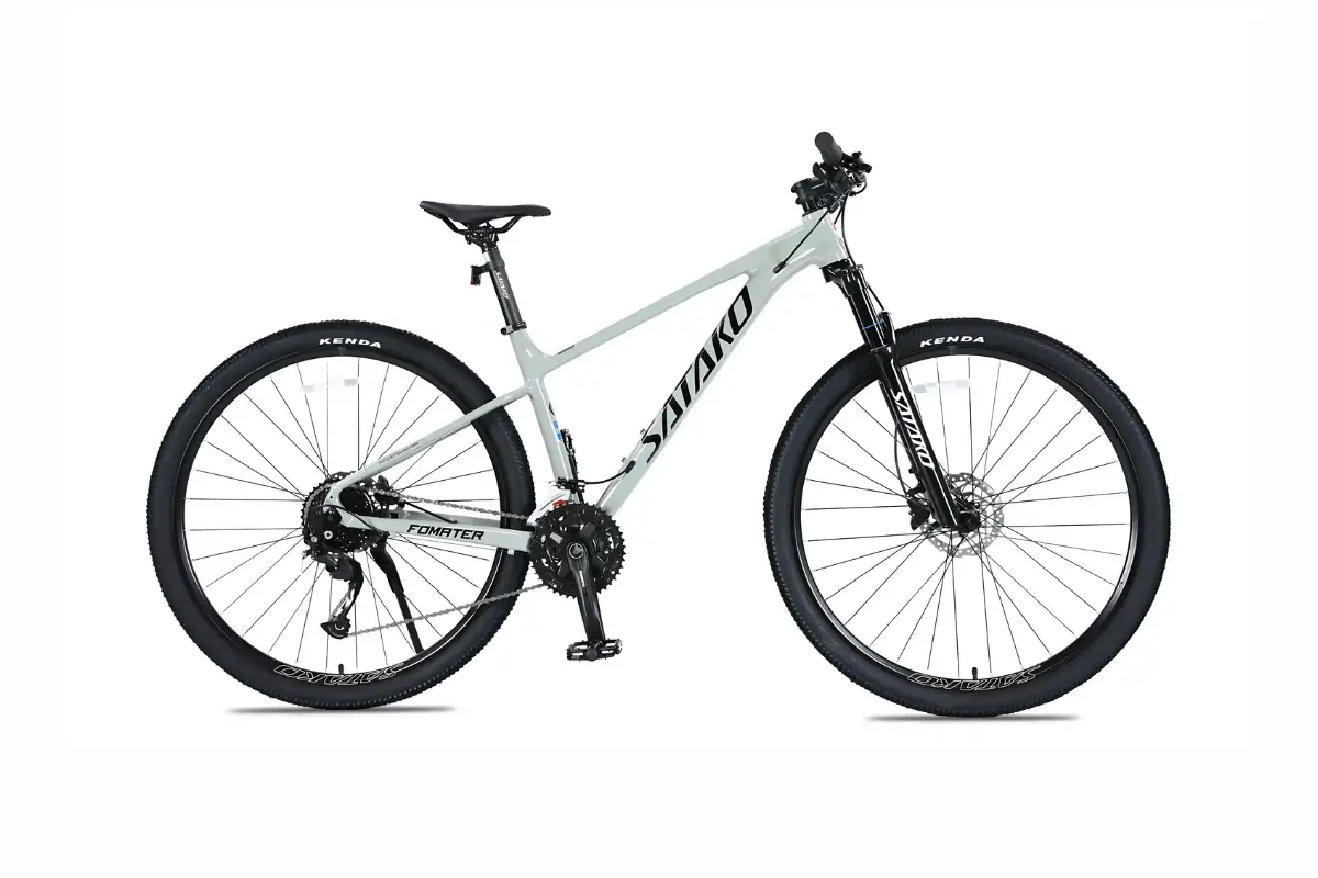 Xe Đạp Địa Hình MTB Satako Formater Gen 2 29 inch