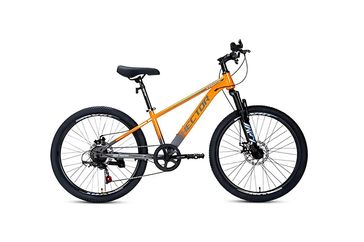 Xe Đạp Địa Hình MTB Hector Strong 2 24 Inch