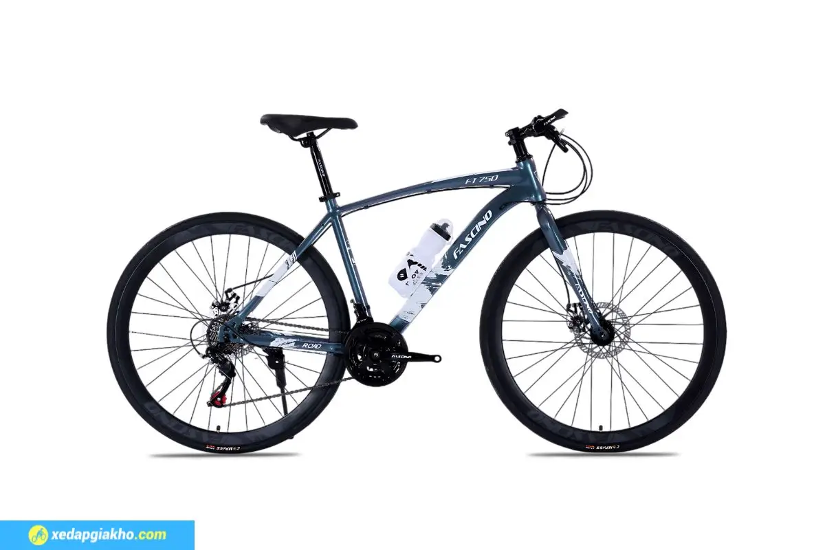 Xe Đạp Touring Fascino FT750 Đổi Màu 60