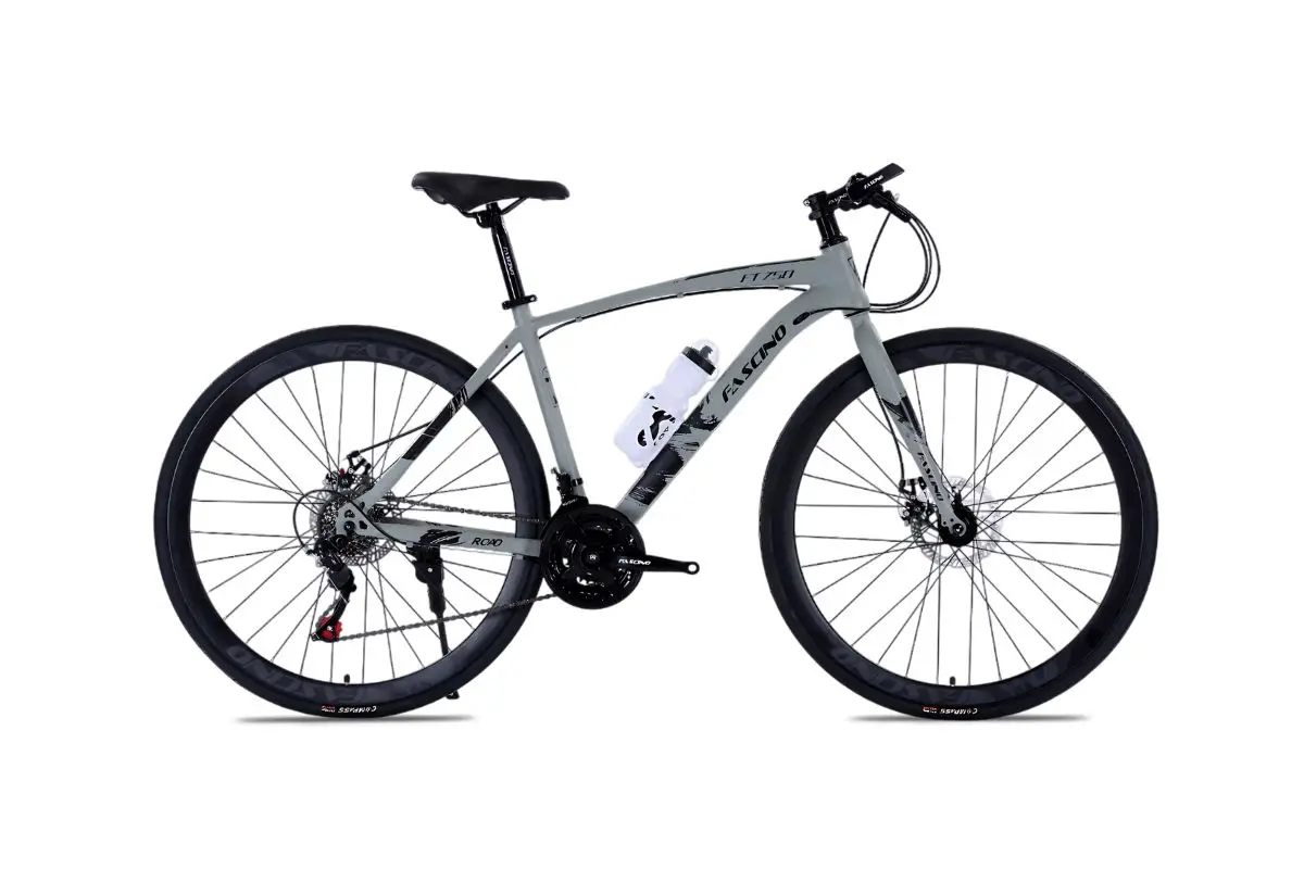 Xe Đạp Touring Fascino FT750