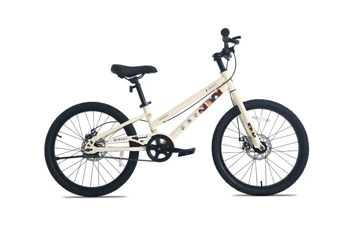 Xe Đạp Trẻ Em Bé Trai Raccoon Gason 22 Inch