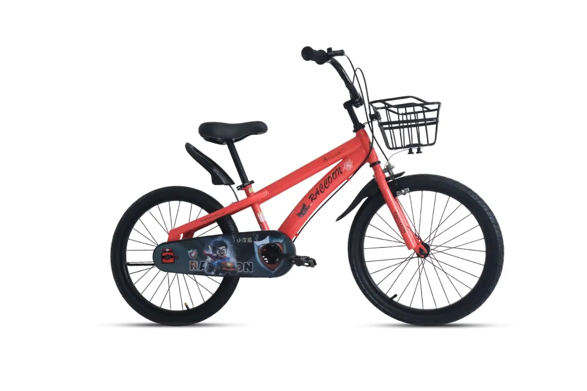 Xe Đạp Trẻ Em Raccoon Jason 20 Inch