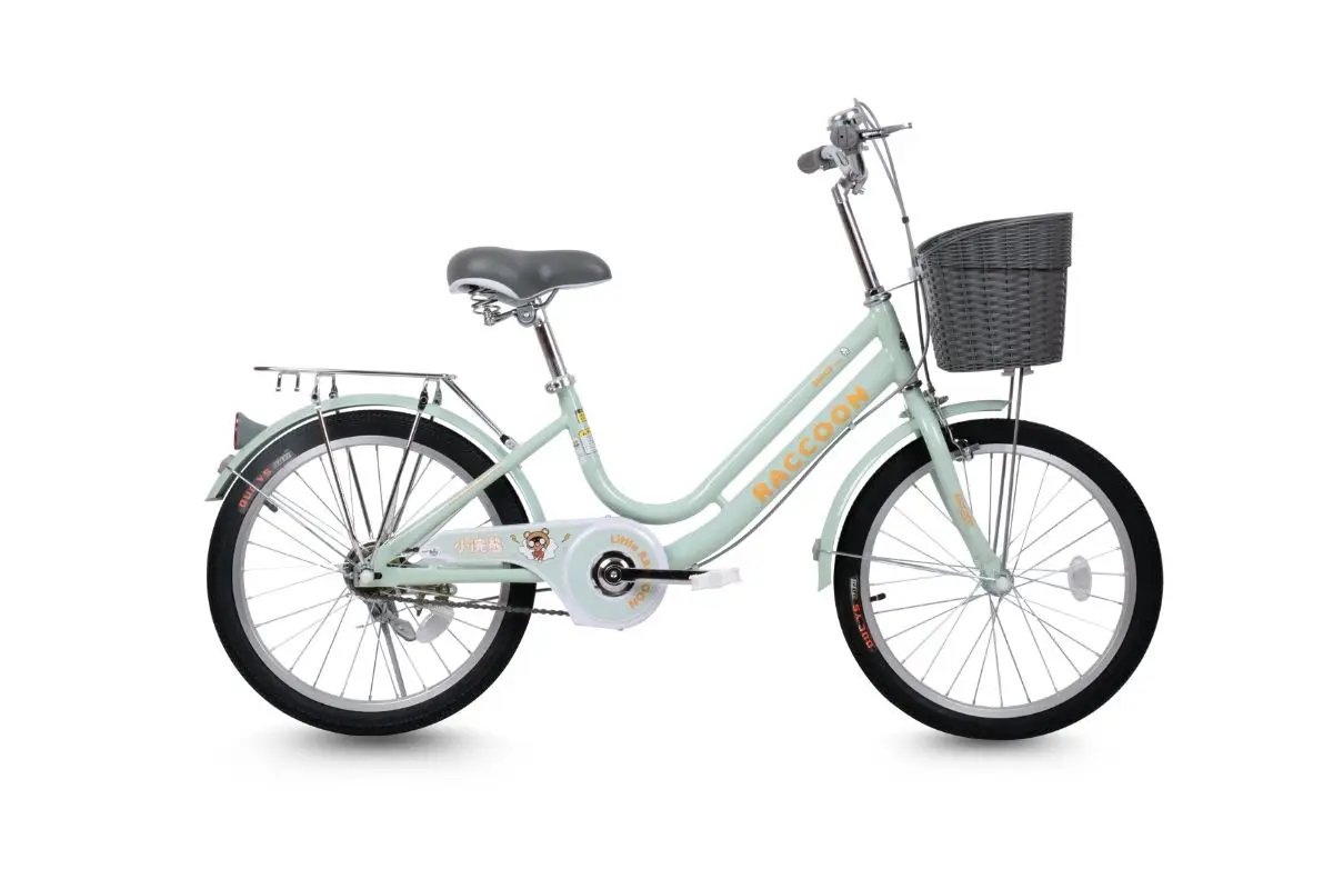 Xe Đạp Trẻ Em Raccoon Lina 20 Inch 3 Xe Đạp Trẻ Em Raccoon Lina 20 Inch