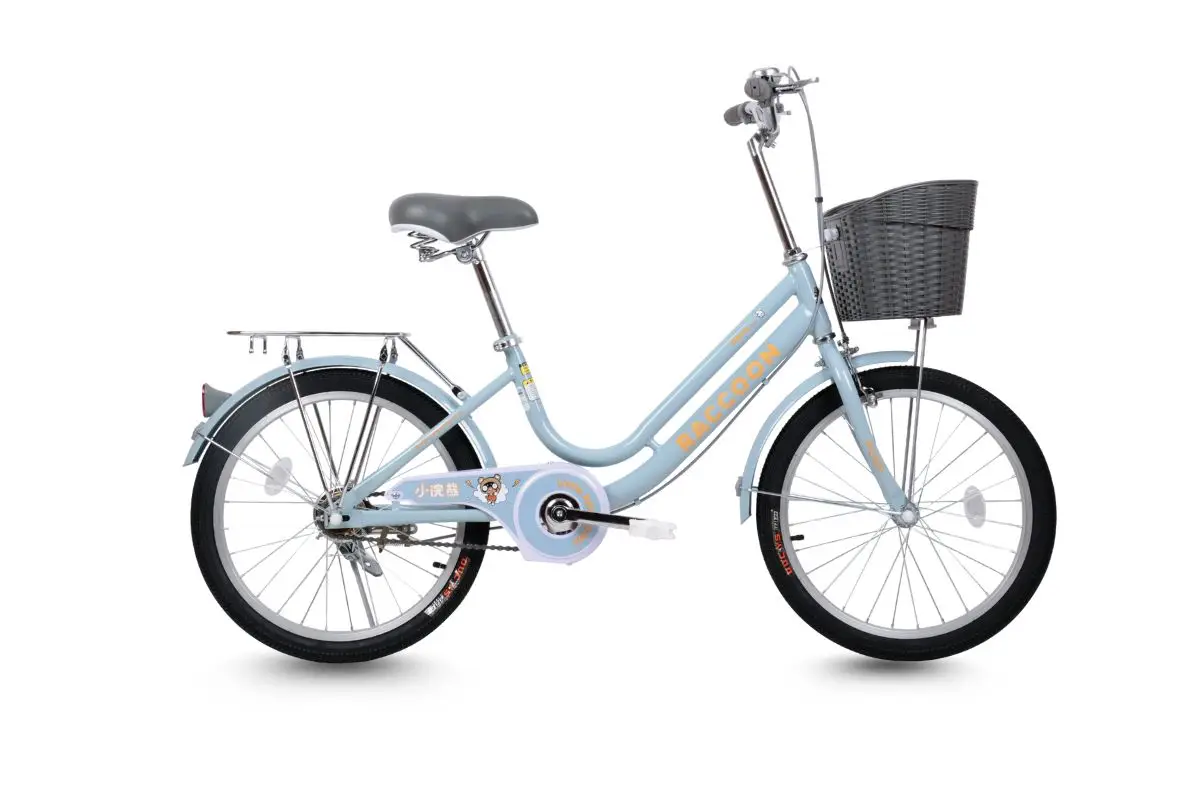 Xe Đạp Trẻ Em Raccoon Lina 20 Inch 1 Xe Đạp Trẻ Em Raccoon Lina 20 Inch