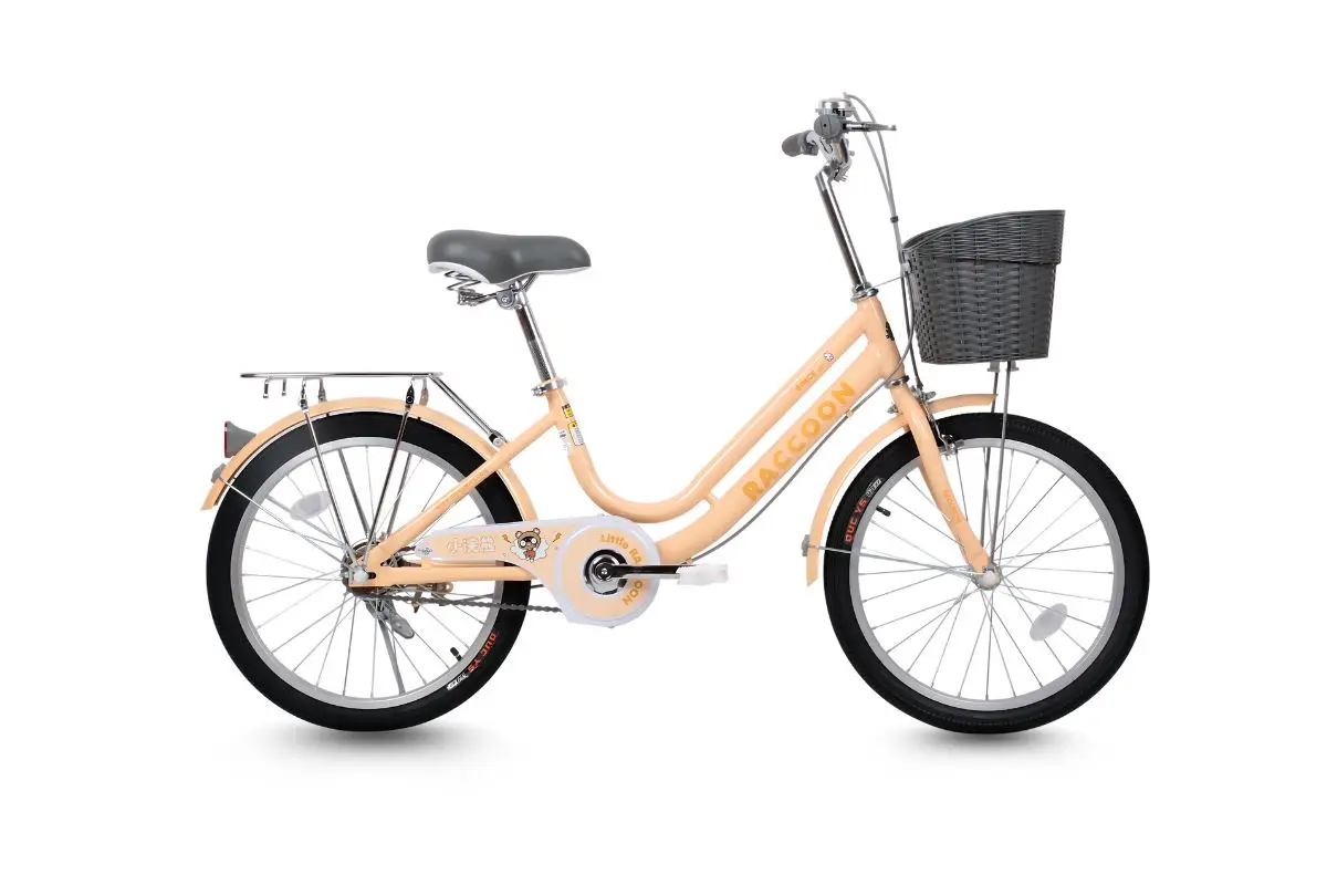 Xe Đạp Trẻ Em Raccoon Lina 20 Inch 2 Xe Đạp Trẻ Em Raccoon Lina 20 Inch