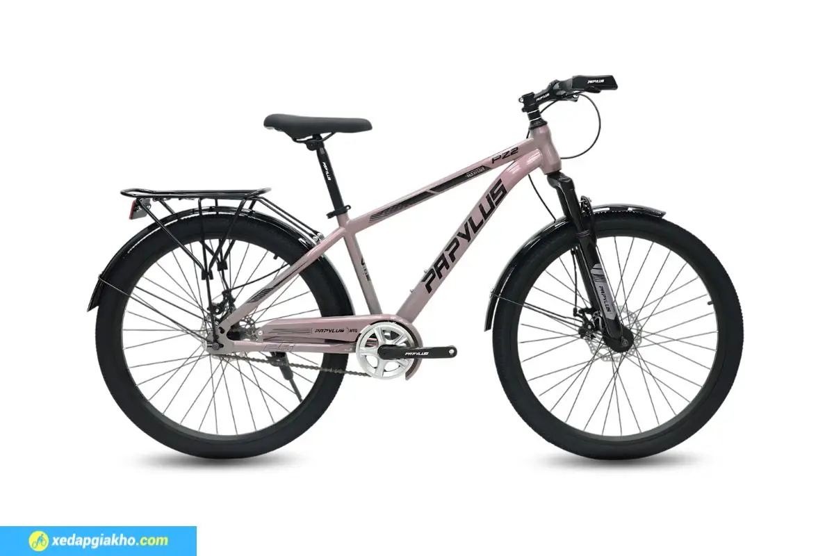 Xe Đạp Địa Hình MTB Papylus PZ2 26 Inch Màu Ghi Sứ Đen