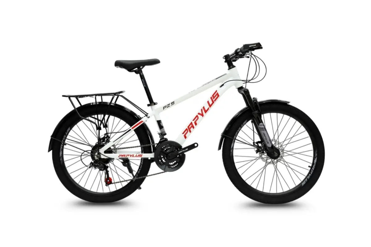 Xe Đạp Địa Hình Papylus PZ5M 24 Inch