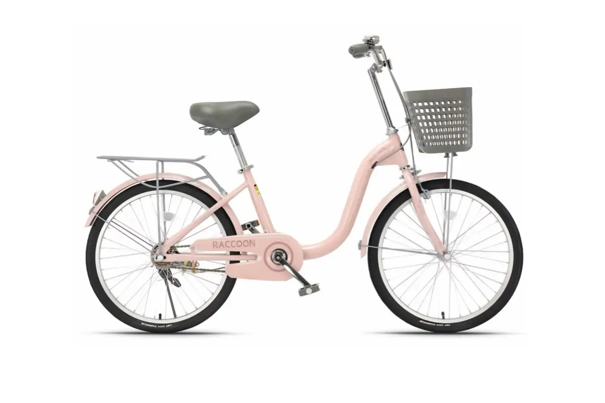 Xe đạp nữ Raccoon Hanna 24 inch