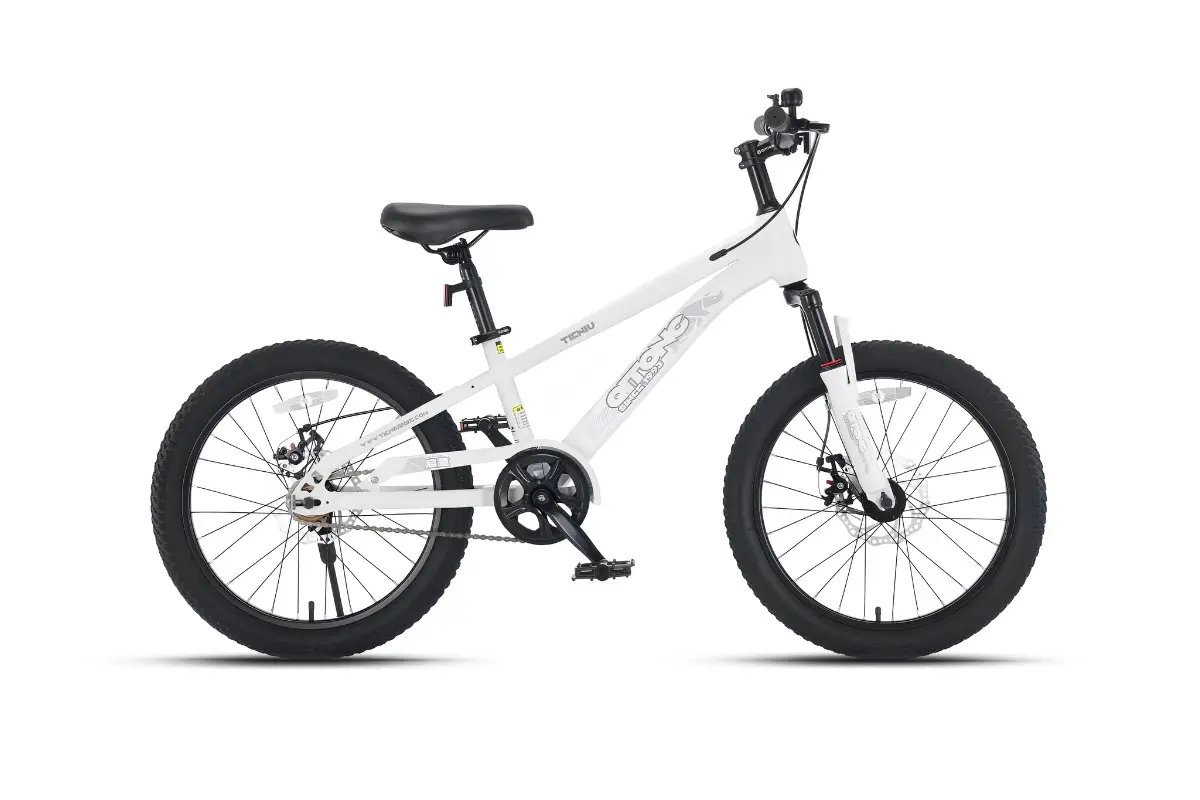 Xe Đạp Địa Hình Trẻ Em Qitong Carson 22 Inch 1 Xe đạp trẻ em Qitong Carson 18 inch