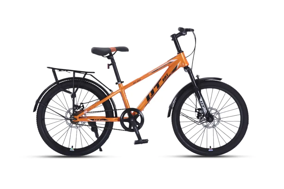 Xe Đạp Địa Hình Trẻ Em QT Bike QT120 20 Inch 1 Xe đạp QT Bike QT120 20 inch
