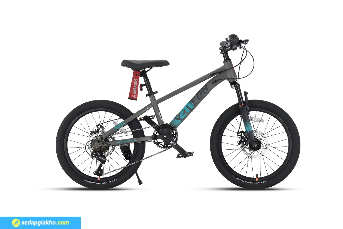 Xe Đạp Địa Hình Trẻ Em Veleon V-211 TP20 20 Inch 2 Xe đạp địa hình trẻ em Veleon V-211 TP20 20 inch màu xám
