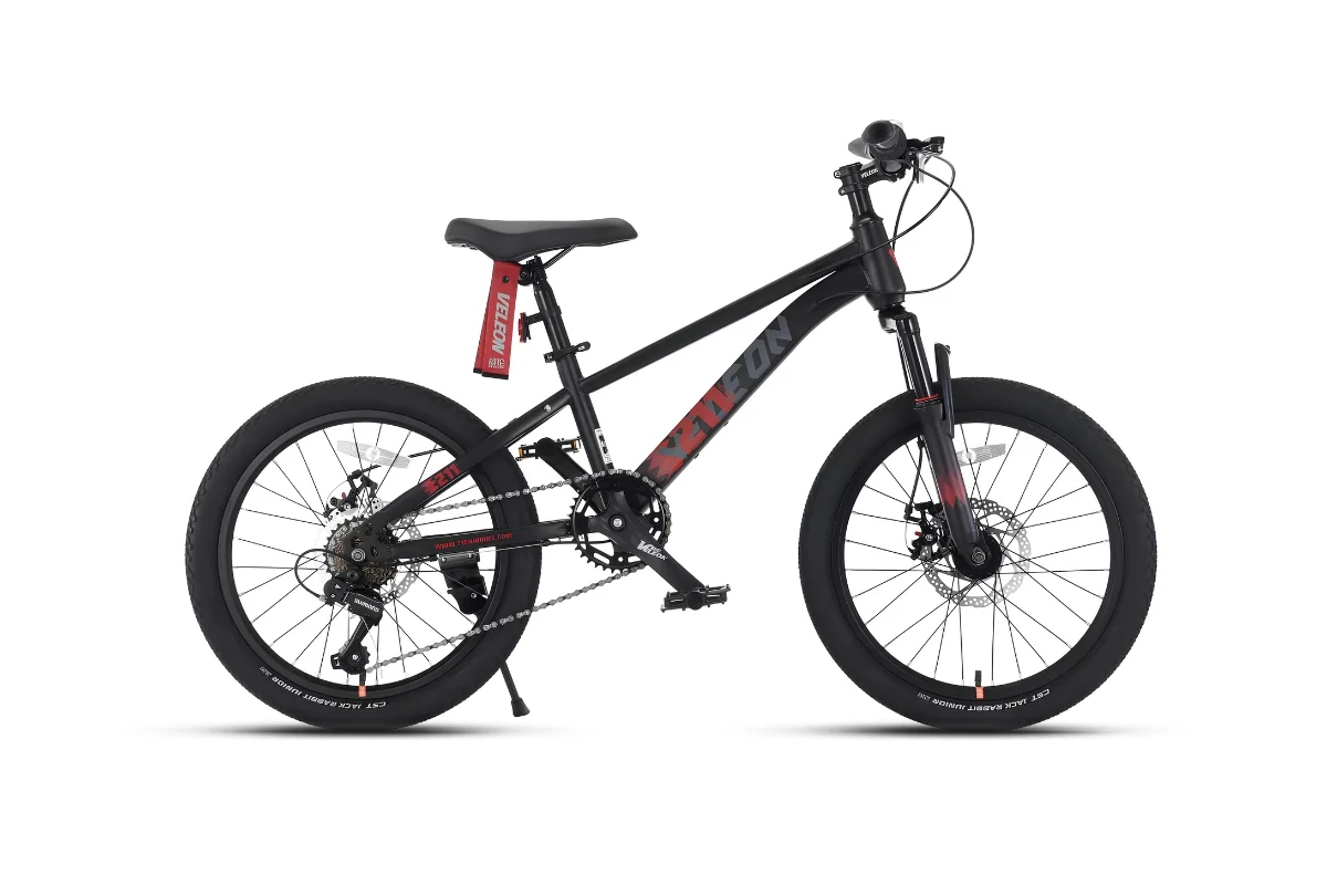 Xe Đạp Địa Hình Trẻ Em Veleon V-211 TP20 20 Inch 1 Xe đạp địa hình trẻ em Veleon V-211 TP20 20 inch