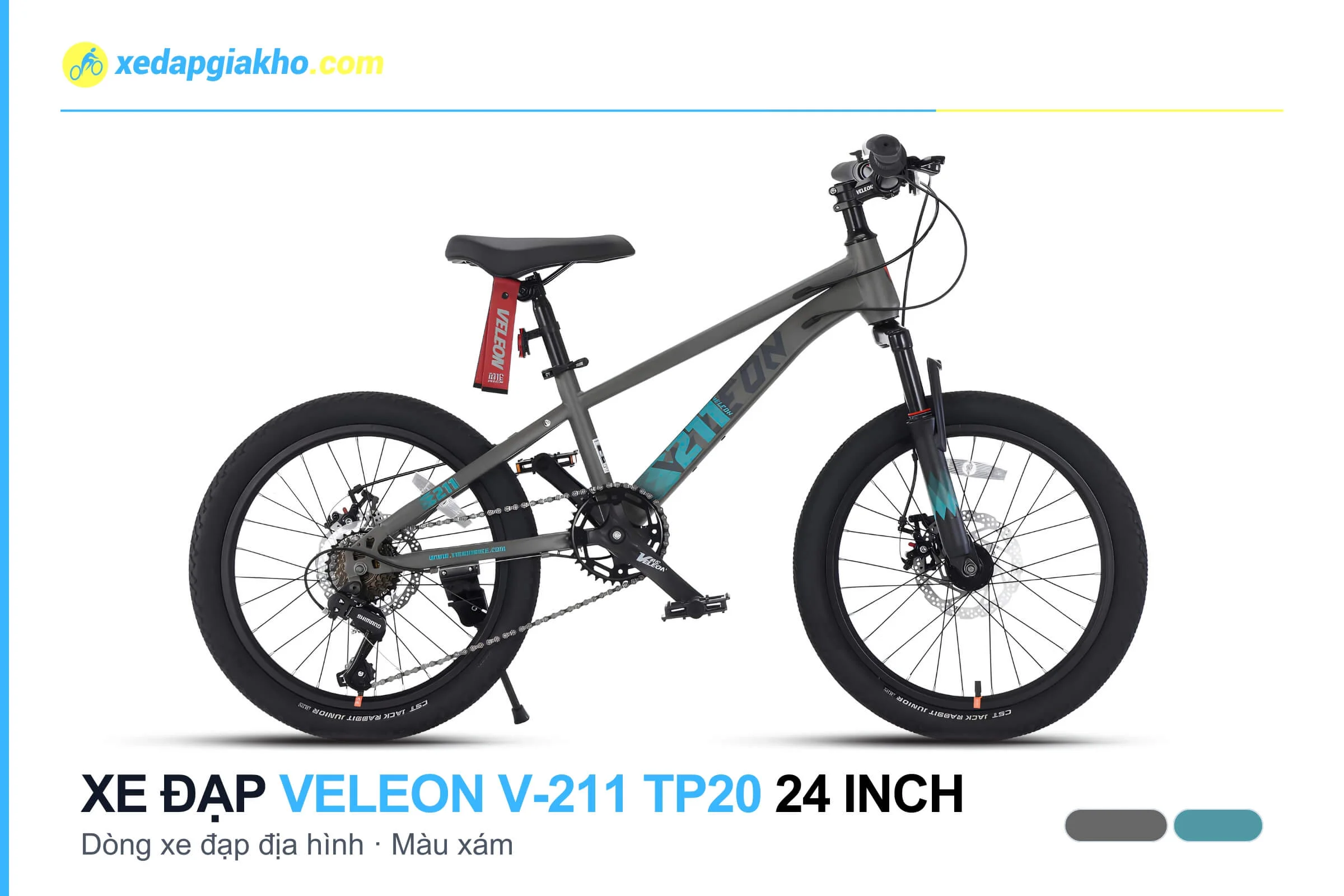 Xe đạp địa hình MTB Veleon V-211 TP20 24 inch màu xám