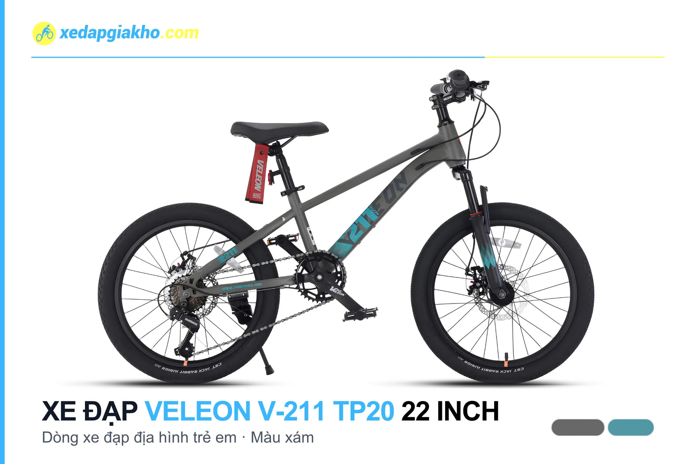Xe Đạp Địa Hình Trẻ Em Veleon V-211 TP20 22 Inch 4 Xe đạp địa hình trẻ em Veleon V-211 TP20 22 inch màu xám
