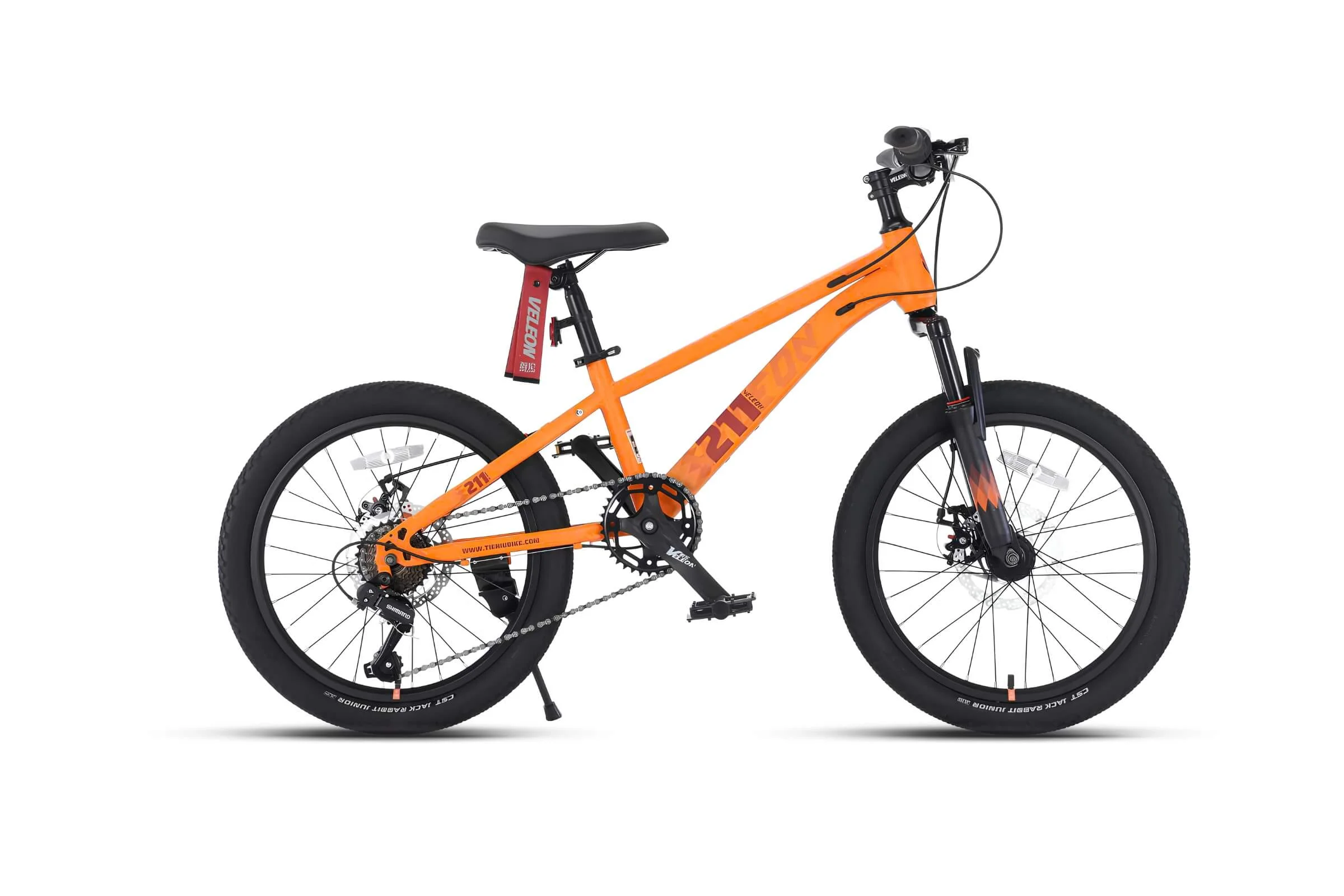 Xe Đạp Địa Hình Trẻ Em Veleon V-211 TP20 22 Inch 1 Xe đạp địa hình trẻ em Veleon V-211 TP20 22 inch